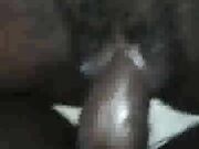 dream wife fucks a bbc