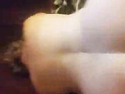 Partying Hotwife Overwhelmed By Massive Black Cock