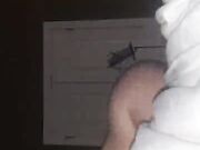 Housewives at bachelorette party – real footage