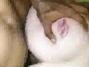 Cuckold White lady creaming while sucking Black Cock