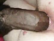 Cuckold White lady creaming while sucking Black Cock