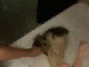 hotwife having fun with a hot black stud