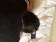 After Party Petite Milf Fucks Huge BBC