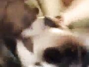 Horny wife Layla Redd takes some dick in her mature pussy