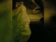 dirty white wife got a hard breeding session