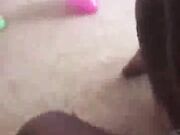 Guy want his wife banged by a black cock