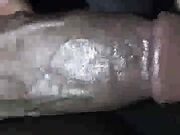 Your wife needs a hard pounding in her tight hole