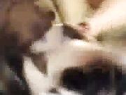 Gorgeous Wife Ginger Creampied By Black Guy