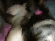 busty BBW wife taking BBC like a slut
