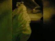 My Whore Wife Loves To Fuck BBC Doggy Style