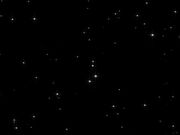 bella for dumb slave