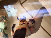 Babyfooji - Got You!