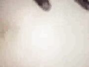 Fat white wife gets seeded by black lover for hubby