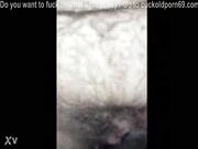 Cuckold - Pale Slutwife Roughly Fucked