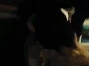 thick BBW got pounded hard by bbc