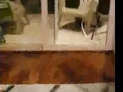 Slutwife fucks neighbor while hubby is away