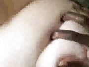 Freaky Wife Fucked while Husband was out shopping