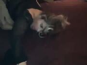 Horny MILF Drilled By Big Black Cock Gets Cum Facial