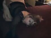 Horny MILF Drilled By Big Black Cock Gets Cum Facial