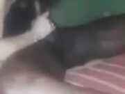 Miami Vacation Black Cock Fuck