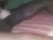 Miami Vacation Black Cock Fuck