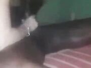 Miami Vacation Black Cock Fuck