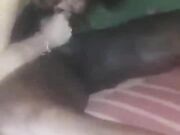 Miami Vacation Black Cock Fuck