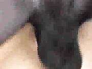 Neighbor’s Nympho Wife Wants BBC