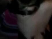 Fucking my wife doggystyle while she creams on my dick