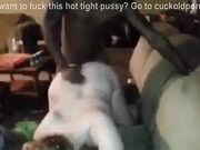 Gaping BBC Anal For White Wifey Just To Arouse Her