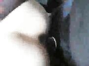 Mary Queen Fox Gets Fucked By BBC In Both Holes By Her BBCs