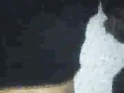 stunning white slut wife with black stud hubby loves it