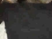 stunning white slut wife with black stud hubby loves it