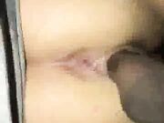 bbc bull fucks hot wife so hard he loses condom