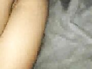 bbc bull fucks hot wife so hard he loses condom