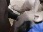 Hardcore screaming interracial slut takes BBC every hole