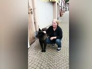 Tanja bekommt die Fotze geleckt