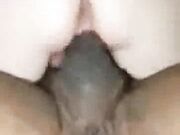 Gaping BBC Anal For White Wifey Just To Arouse Her