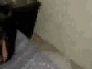 Hun, Look At How Big His Cock Is! Can I Fuck It, Please?