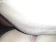 cheating wife fucking black stud in cuckolds sofa