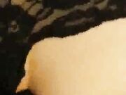 Hot wife gets penetrated in the bathroom