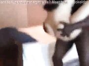 PREGNANT CUCKOLD WIFE FUCKING BBC INTERRACIAL HOMEMADE