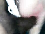 Cuckold White lady creaming while sucking Black Cock