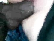 Cuckold White lady creaming while sucking Black Cock