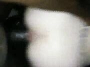 Wifes pussy stretched by BBC in front of her hubby