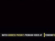 The Sacrificial Cock