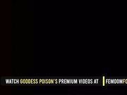 The Sacrificial Cock