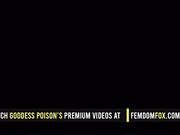 The Sacrificial Cock