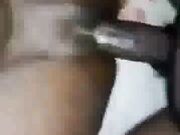 My step son has a BBC and his step dad is at work