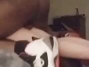 Julie riding my cock in cowgirl and get screaming orgasm